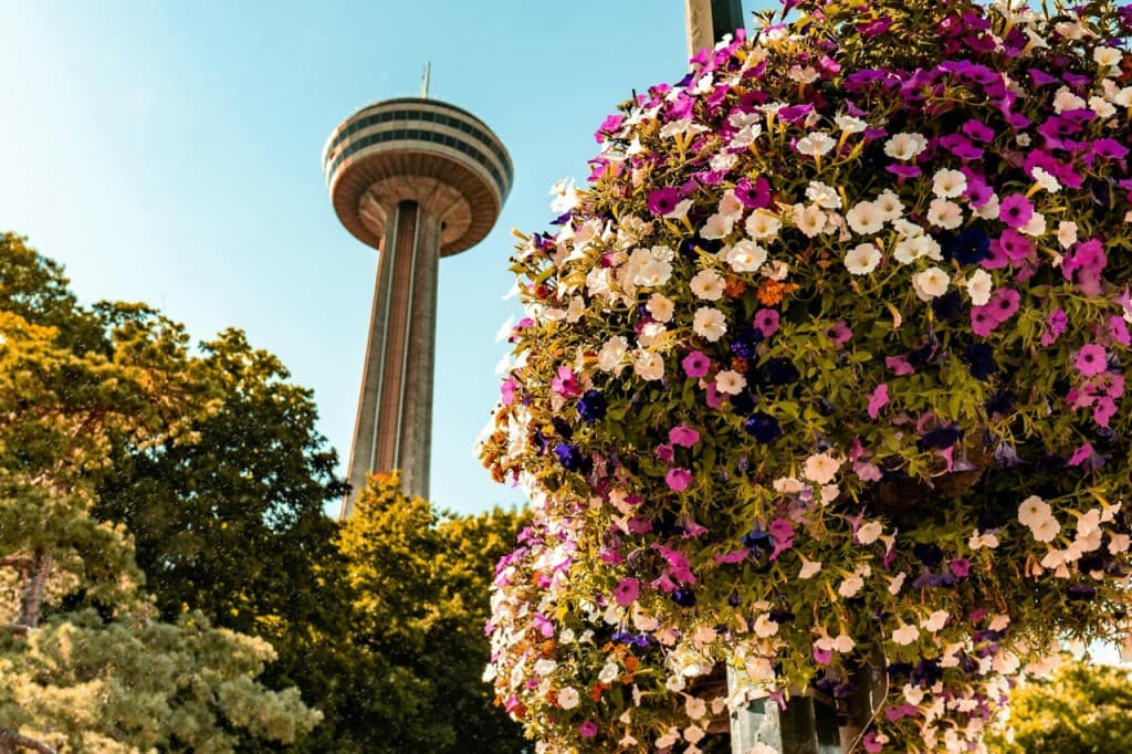 Niagara Falls(US & Canada): Guided Tour with Boat Cruise, Cave of the Winds & Skylon Tower (Guided Tour with Boat Cruise, Cave of the Winds & Skylon Tower)