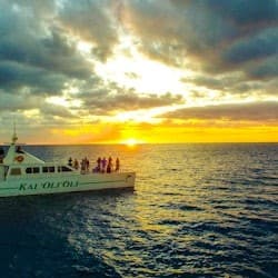Oahu: Guided Dolphin Watching Sunset Cruise + Snorkeling + Buffet
