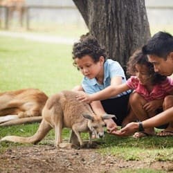 Oakvale Wildlife Park: Entry Ticket