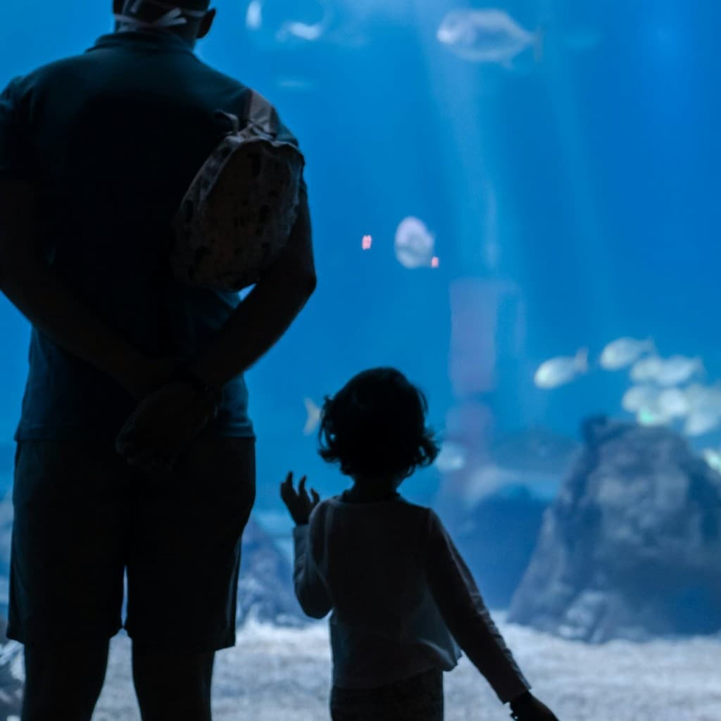 Oceanário de Lisboa: Private Guided Tour