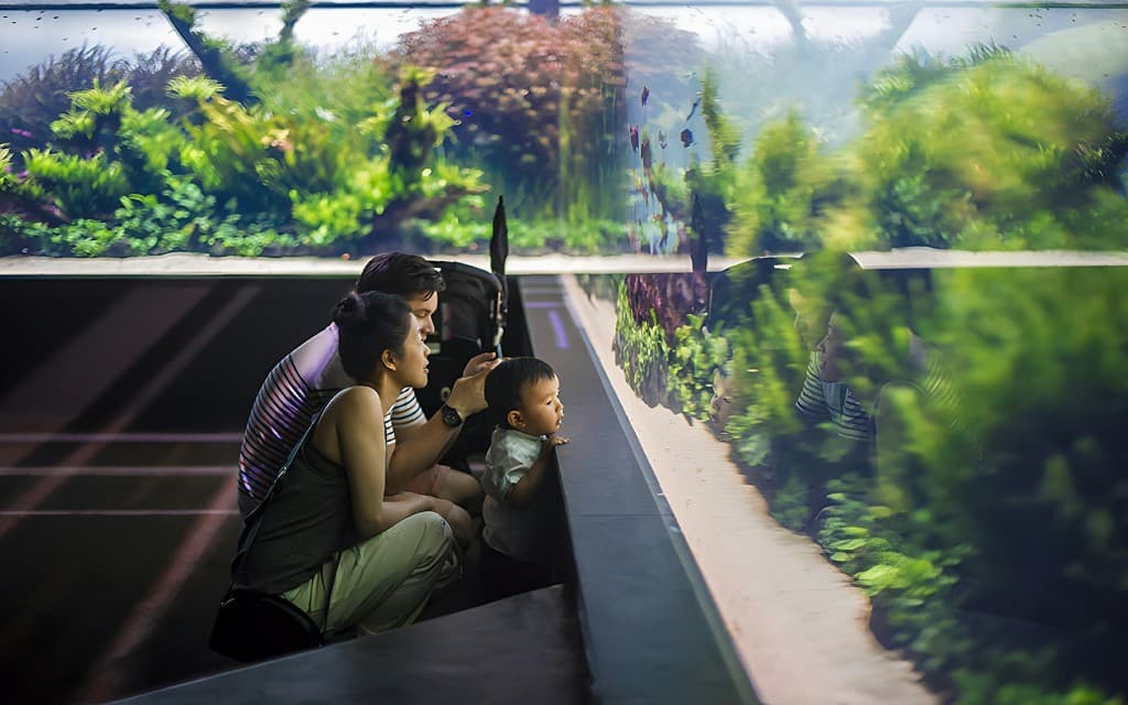 Oceanário de Lisboa Tickets (Skip-the-Line Entry Ticket )