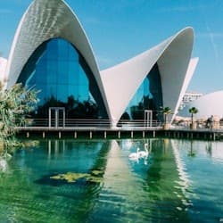 Oceanogràfic de Valencia: Entry Ticket