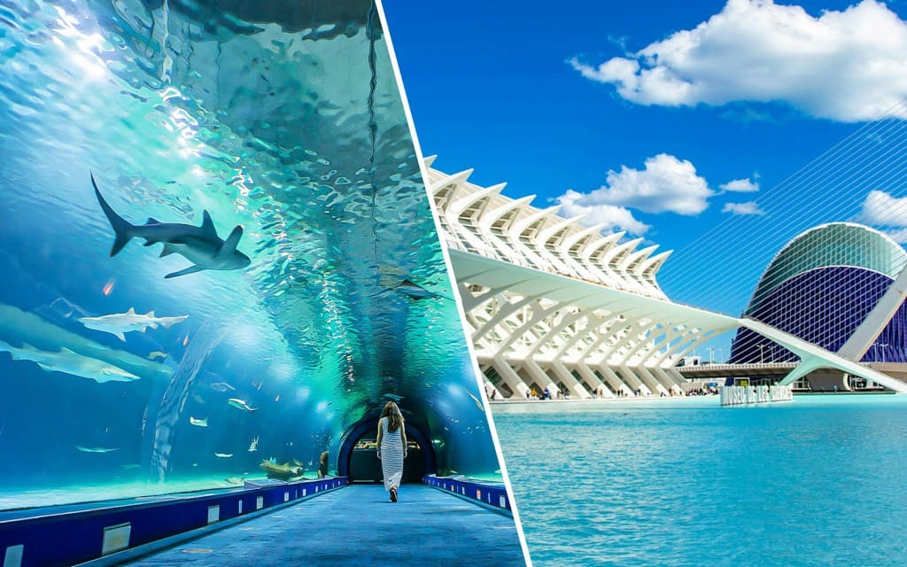 Oceanogràfic Tickets (Oceanogràfic + Science Museum Tickets)