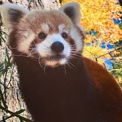 Oglebay Good Zoo: Entry Ticket