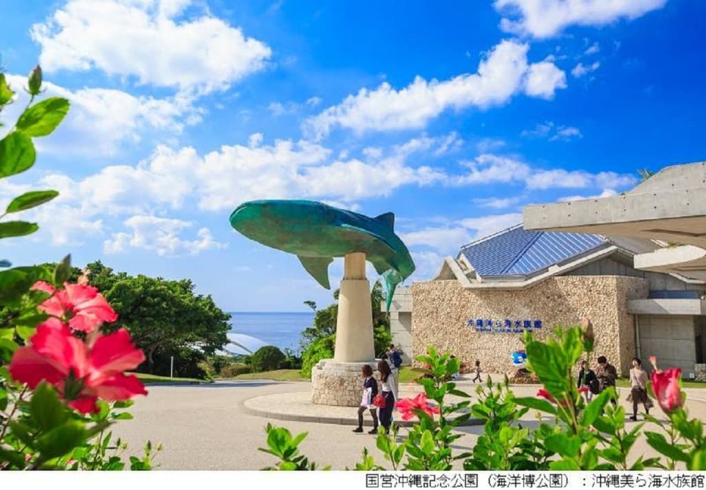 Okinawa Churaumi TokuToku 5 Pass (Okinawa Churaumi TokuToku 5 Pass - Okinawa Churaumi Aquarium + 4 Attractions (15-17 years old))
