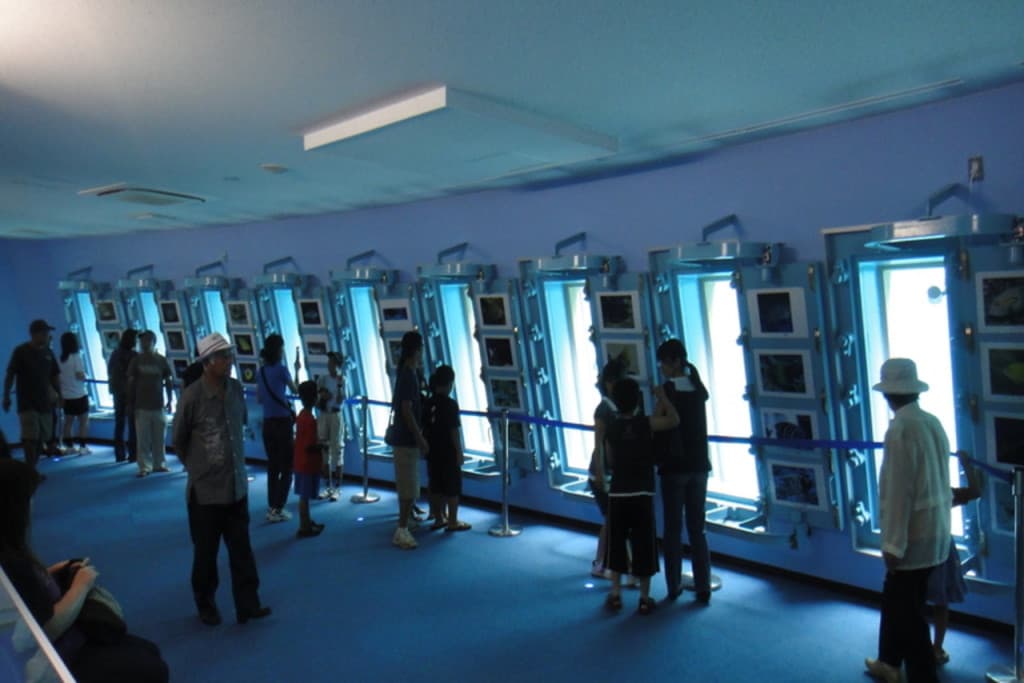 Okinawa Miyakojima Undersea Park (Okinawa Miyakojima Undersea Park - Admission)