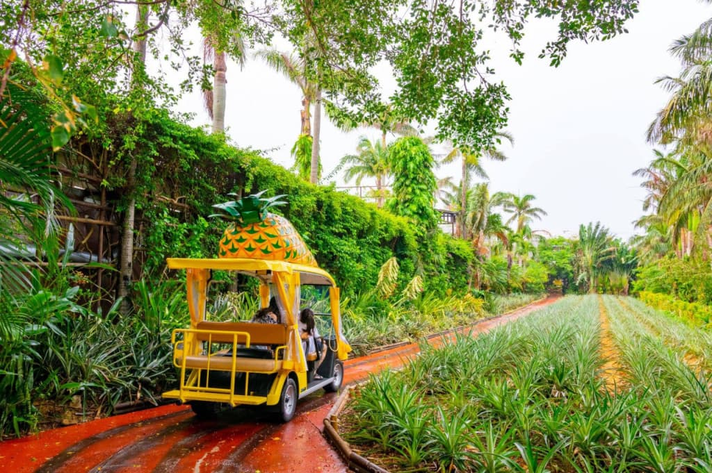 Okinawa Nago Pineapple Park (Okinawa Nago Pineapple Park - Admission)