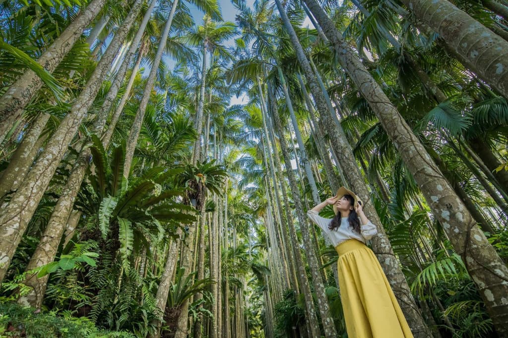 Okinawa Southeast Botanical Gardens (Okinawa Southeast Botanical Gardens - Day Time Admission (Youth: 13-17 years old))