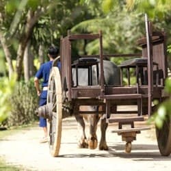 Old Phuket Farm: Guided Tour