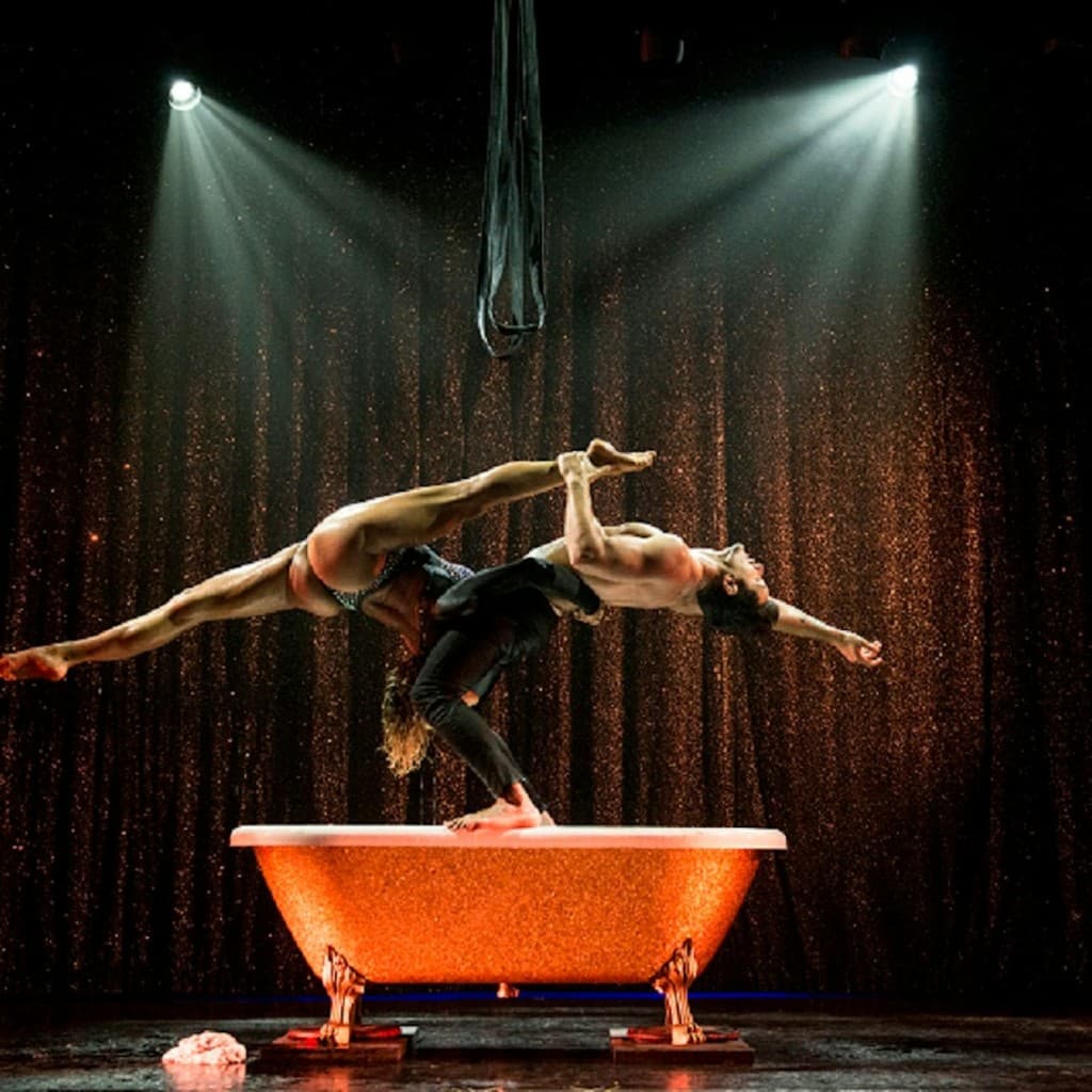 Paradis Latin: VIP Evening Cabaret Dinner and Show