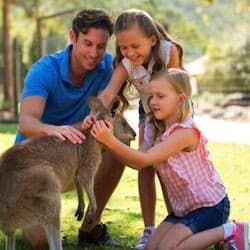 Paradise Country: Authentic Aussie Farm Experience