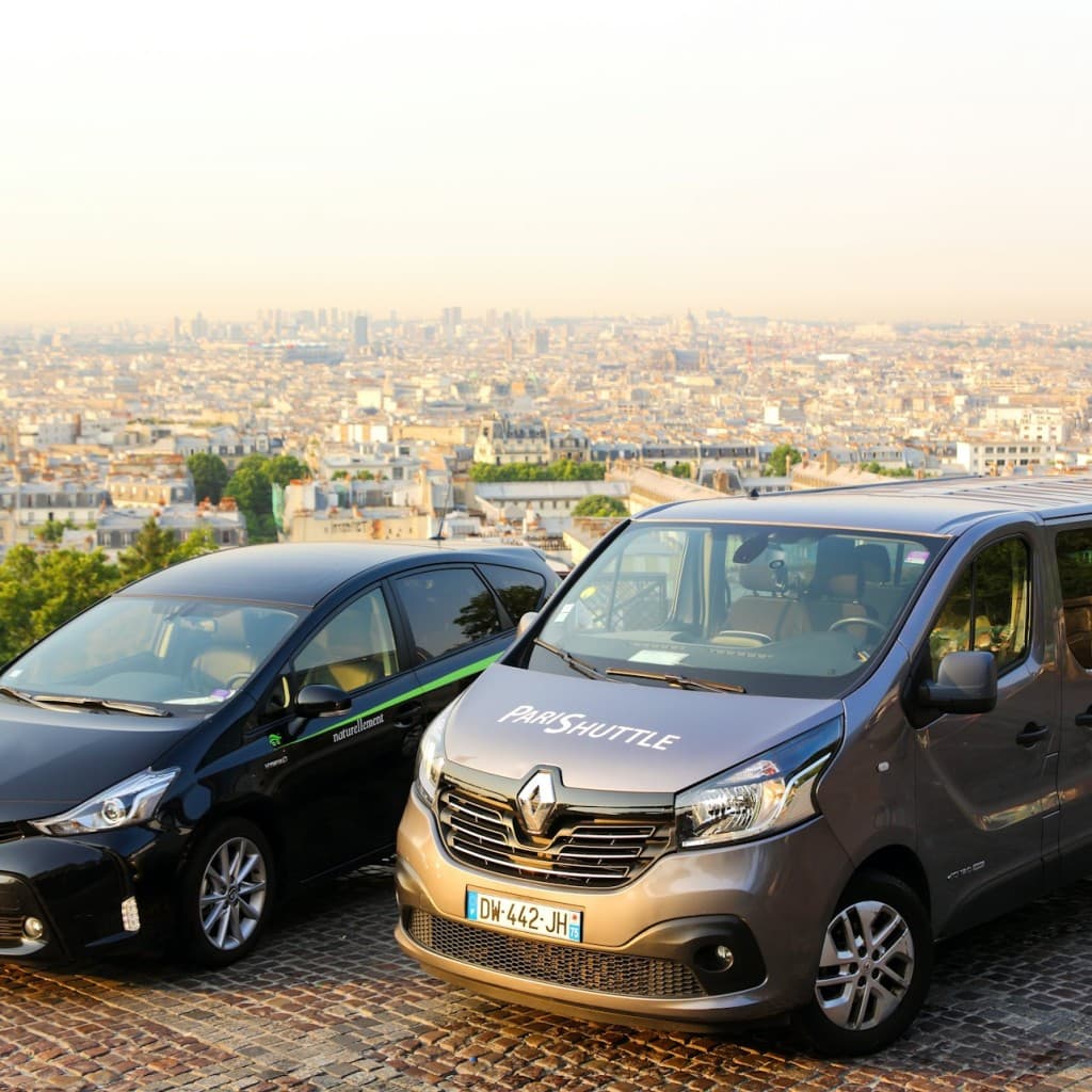 Paris: Roundtrip Taxi Transfer from Charles de Gaulle Airport to Disneyland - Private transfer (4 to 8 pax, price per vehicle)