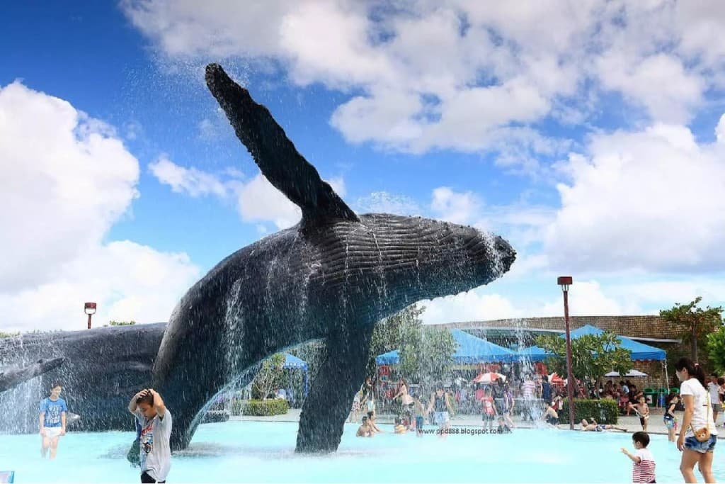 Pingtung National Museum of Marine Biology and Aquarium Ticket (National Museum of Marine Biology and Aquarium - Admission)