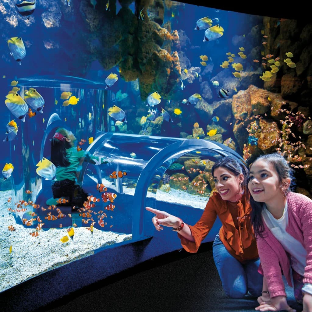 Poema del Mar - Aquarium Gran Canaria: Skip The Line Ticket - Regular