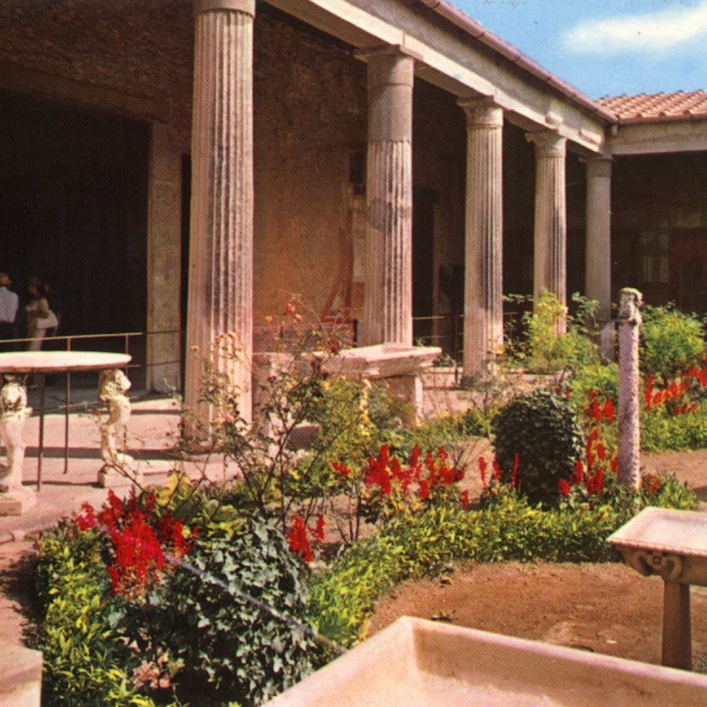 Pompeii: Day Trip From Naples