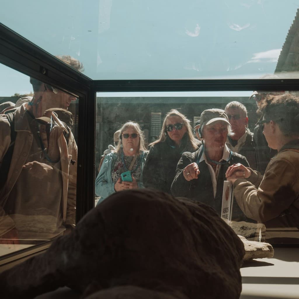 Pompeii: Half-Day Guided Tour from Rome + Roundtrip Train