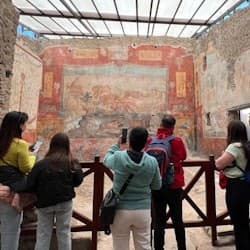 Pompeii: Skip The Line Entry Ticket + Guided Tour from Naples