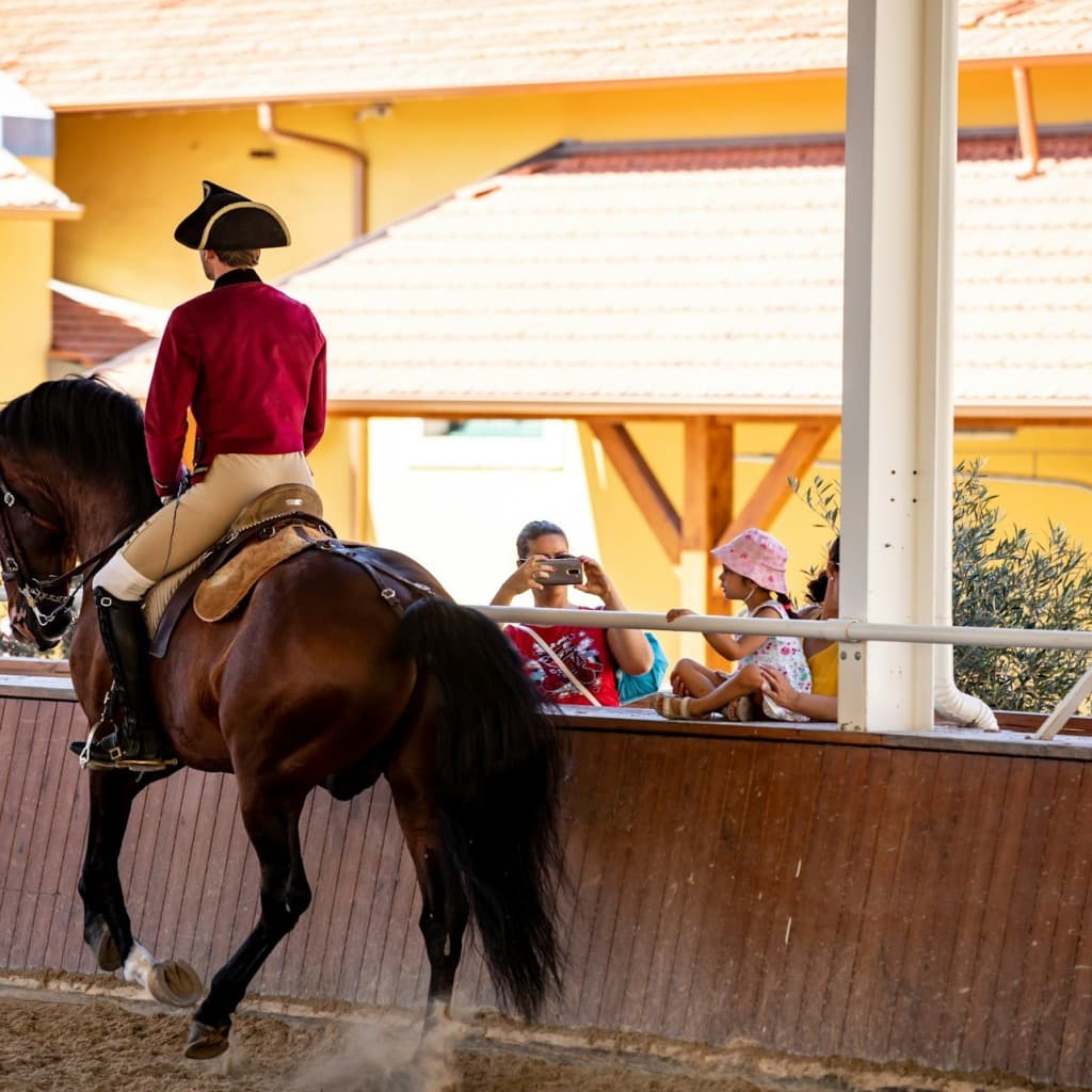 Portuguese School of Equestrian Art: Morning Training - Cabin