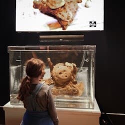 Real Pirates Salem: Entry Ticket