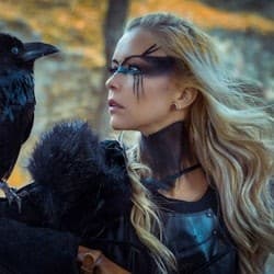 Reykjavík: Private Viking Age Walking Tour