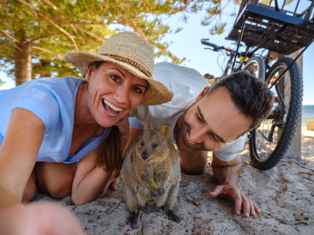 Round Trip SeaLink Ferry Transfer to Rottnest Island with Bike Hire (Rottnest Island Bike Hire with Round Trip SeaLink Ferry (Depart from Perth))