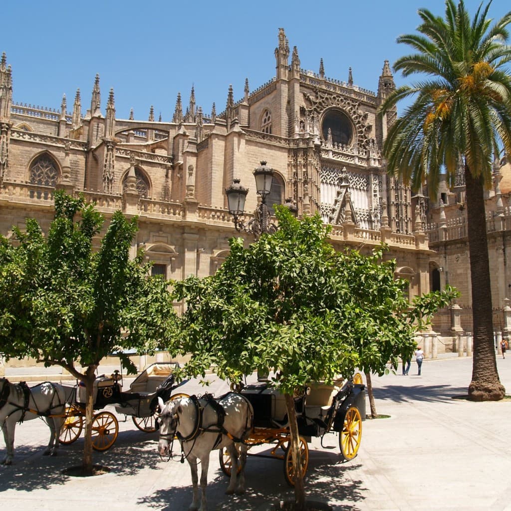 Royal Alcázar of Seville: Entry Ticket + 75-min Guided Tour