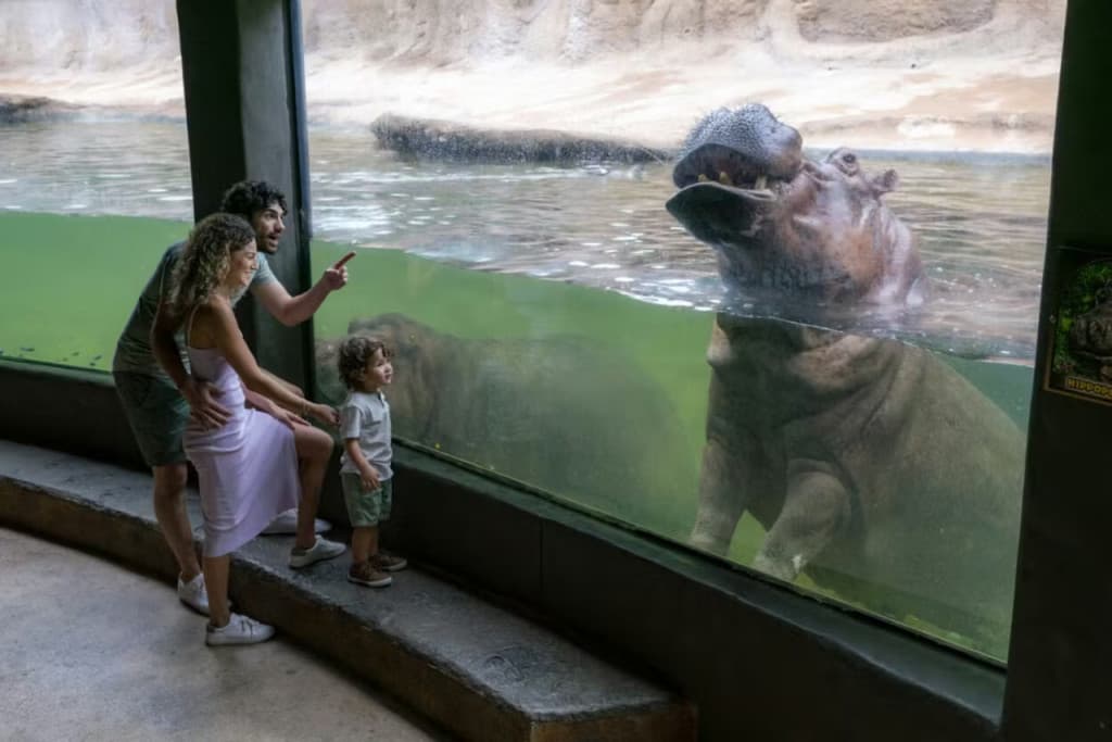 San Antonio Zoo Ticket (Admission)