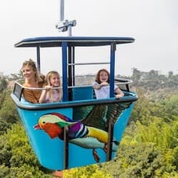 San Diego Zoo: Entry Ticket