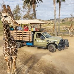 San Diego Zoo Safari Park: Entry Ticket