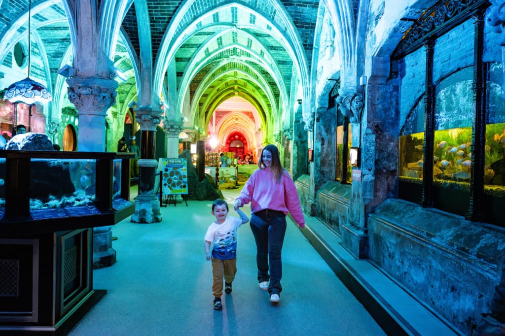 SEA LIFE Brighton Ticket (Admission (Peak))