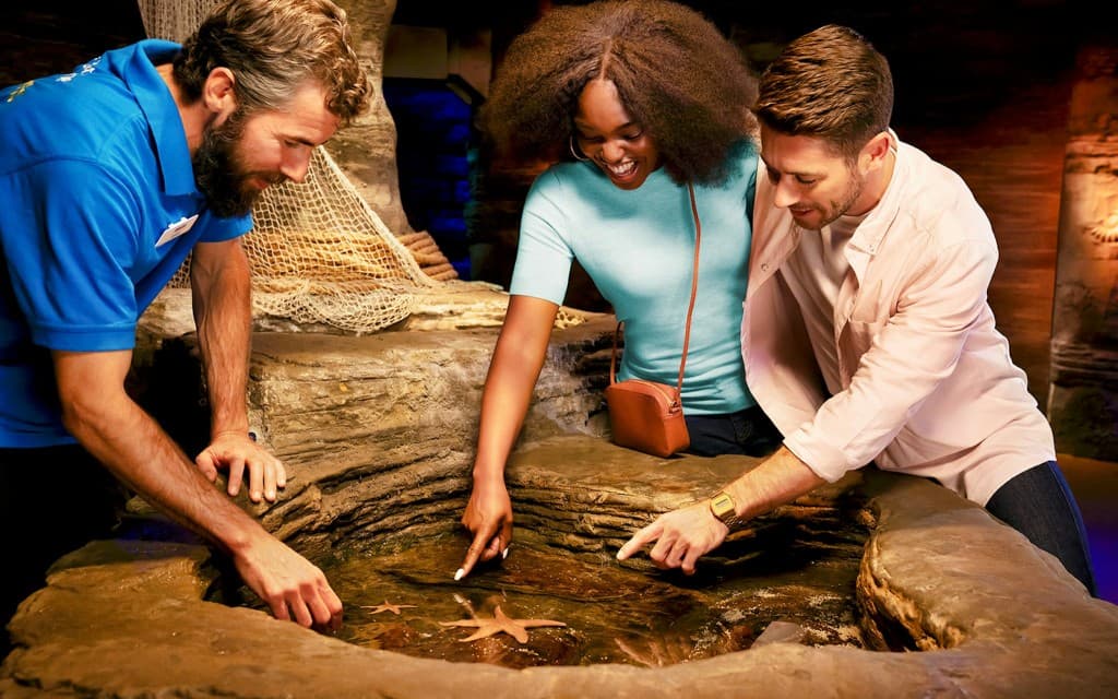 SEA LIFE London Aquarium Tickets (Any Time Entry Tickets)