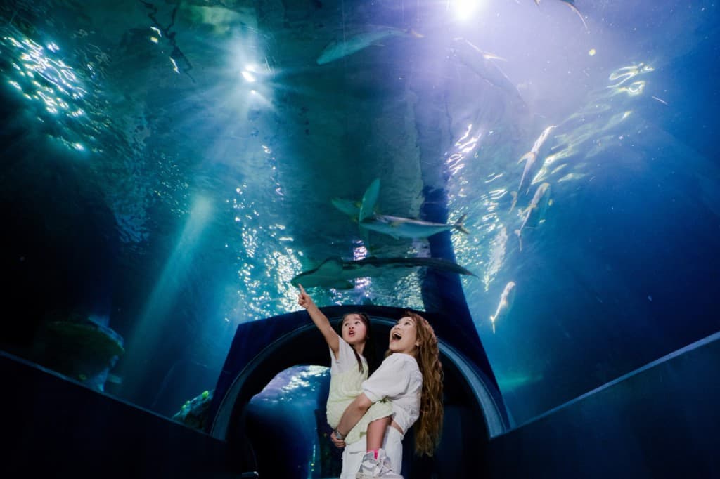 Melbourne Skydeck Ticket (COMBO: Melbourne Skydeck (Fixed Dated General Admission) + SEA LIFE Melbourne Aquarium (Open Dated))