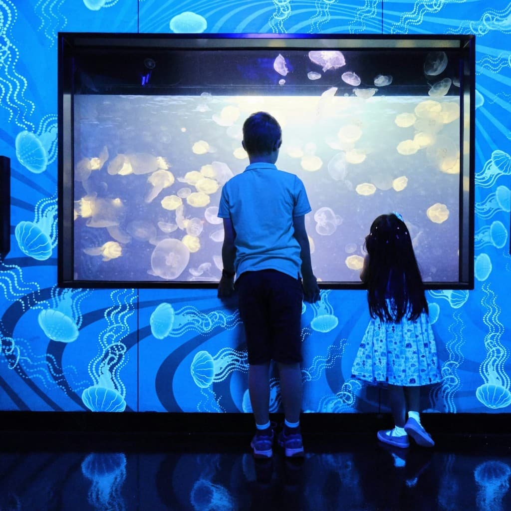 SEA LIFE Melbourne Aquarium: Entry Ticket