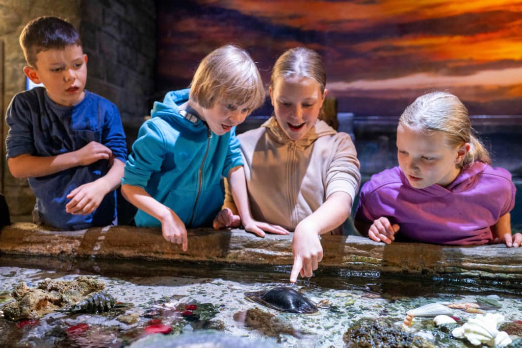 SEA LIFE Munich Aquarium Ticket (SEA LIFE Munich Aquarium - Admission)