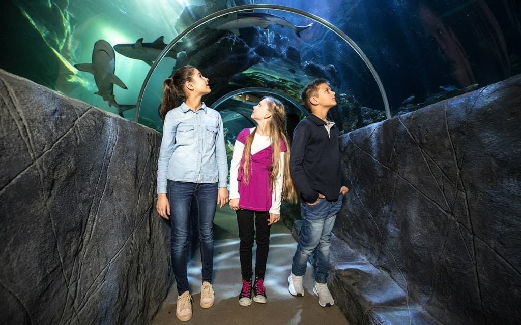 SEA LIFE Munich Ticket (Admission Ticket)