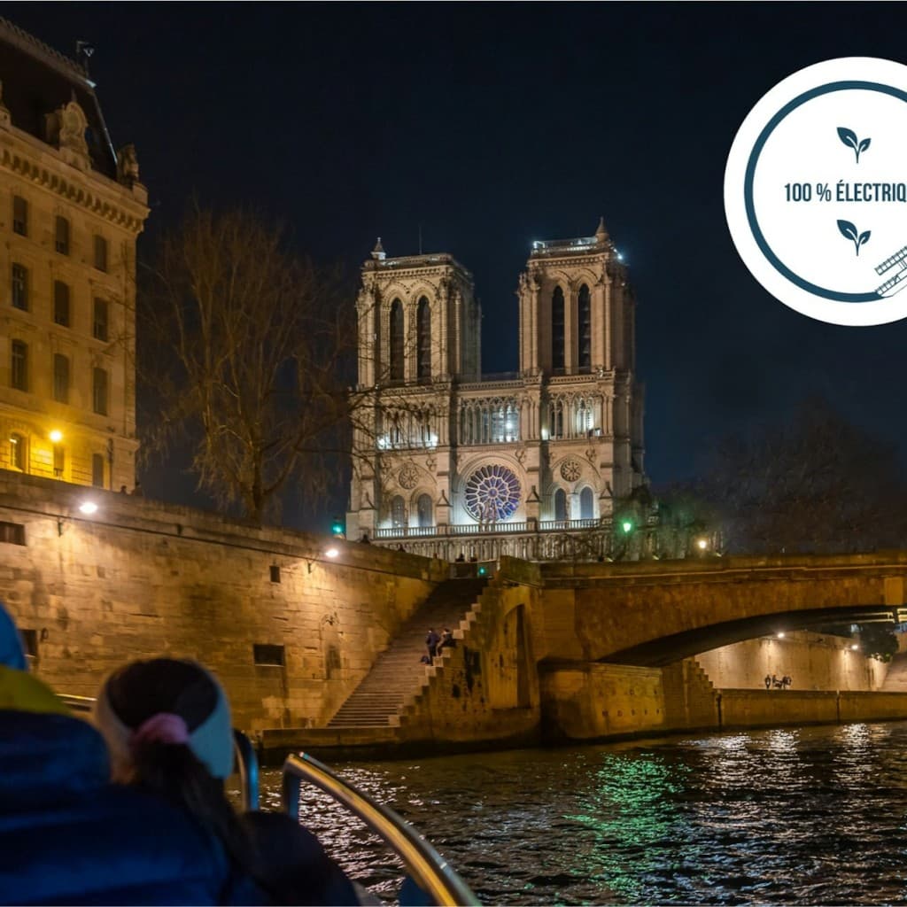 Seine River: Evening Cruise with Music Onboard by Vedettes de Paris - Adult
