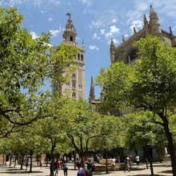 Seville Cathedral: Entry Ticket + Guided Tour