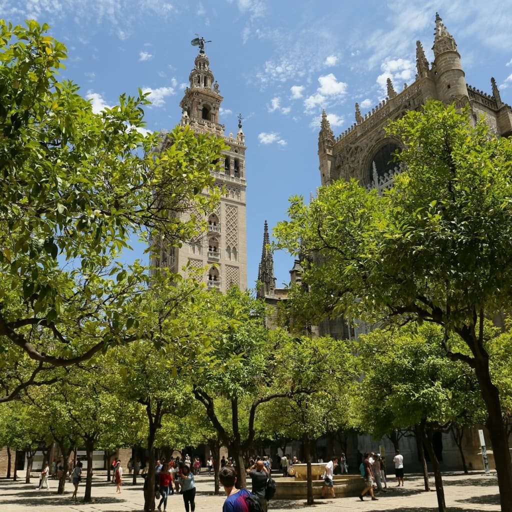 Seville Cathedral: Entry Ticket + Guided Tour