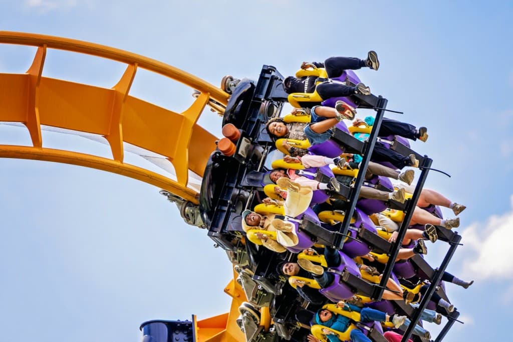 Six Flags Great America Ticket (One Day Ticket)