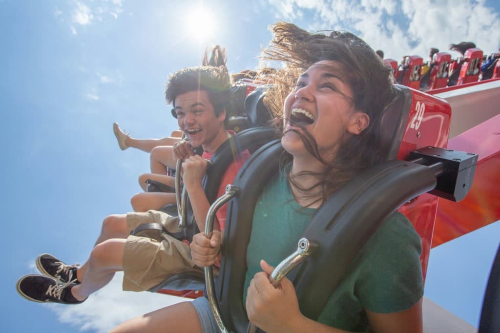 Six Flags New England Ticket (One Day Ticket)