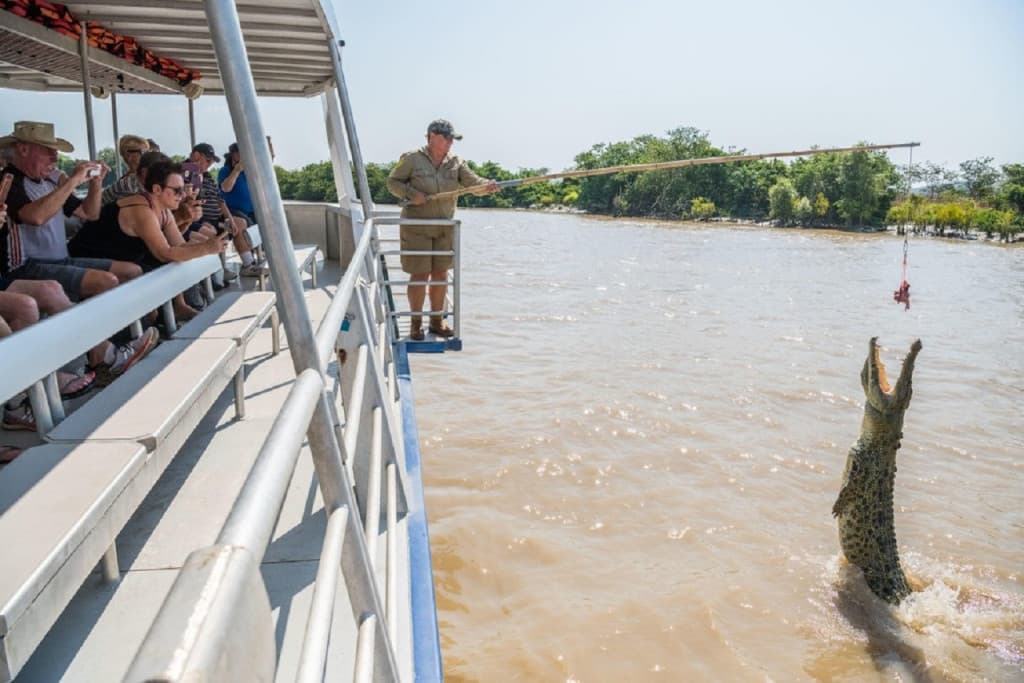 Spectacular Jumping Crocodile Cruise