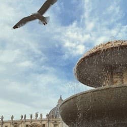 St. Peter's Basilica: Reserved Entry