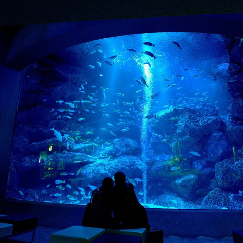 Sumida Aquarium: Entry Ticket