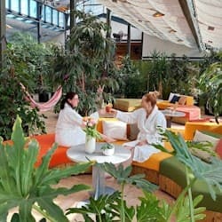 Széchenyi Spa: Entry + Palm House with Snack and Cocktail