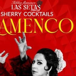 Tablao Flamenco La Setas Seville: Flamenco Show