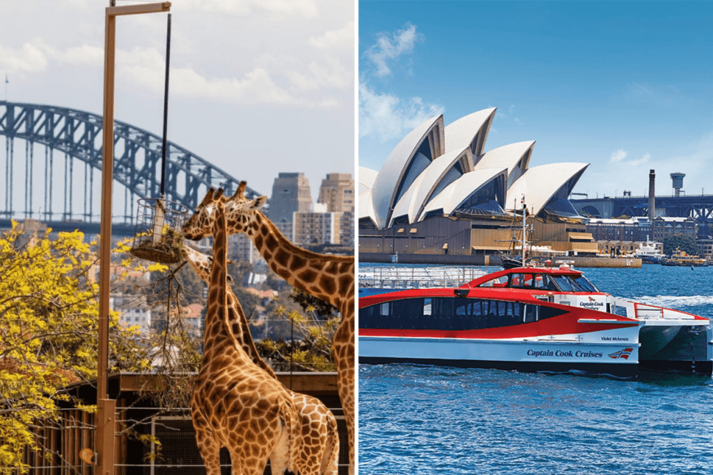 Taronga Zoo Ticket with Optional Round Trip Ferry (PROMO: Taronga Zoo Admission+ Sydney Harbour Explorer Hop-on Hop-off Cruise - 2 Day Pass)
