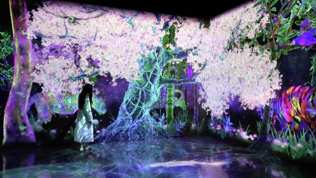 teamLab Forest Fukuoka (teamLab Forest Fukuoka - Admission)