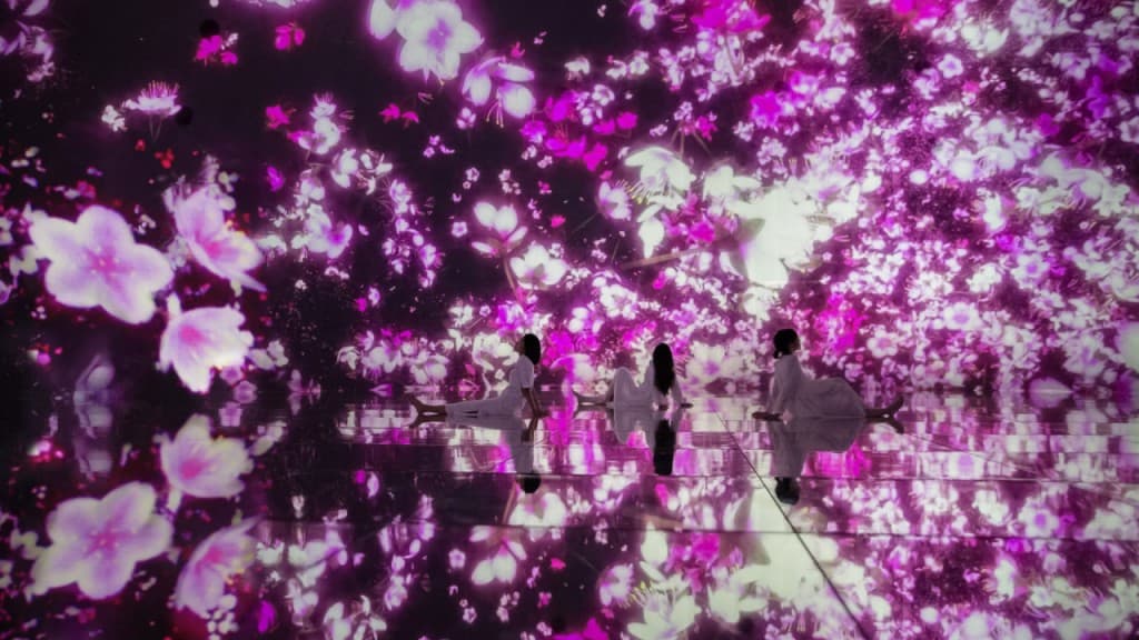teamLab Planets TOKYO Ticket (Admission (8:00 AM to 12:00 PM))