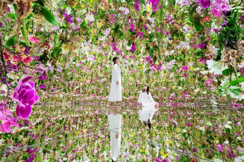 teamLab SuperNature Macao 3D Interactive Exhibition Ticket (teamLab SuperNature Macao - Admission)