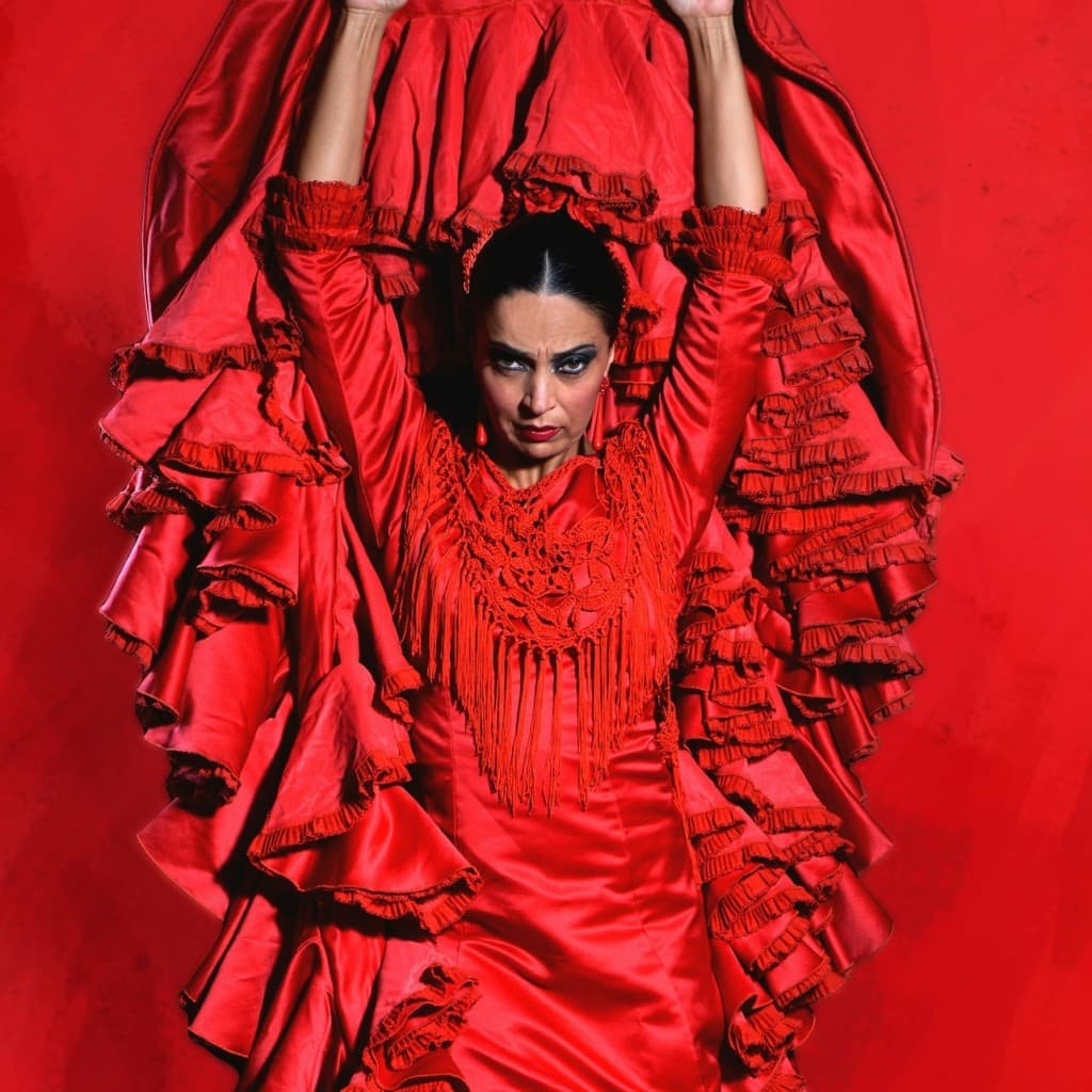 Teatro Flamenco Sevilla: Flamenco Show